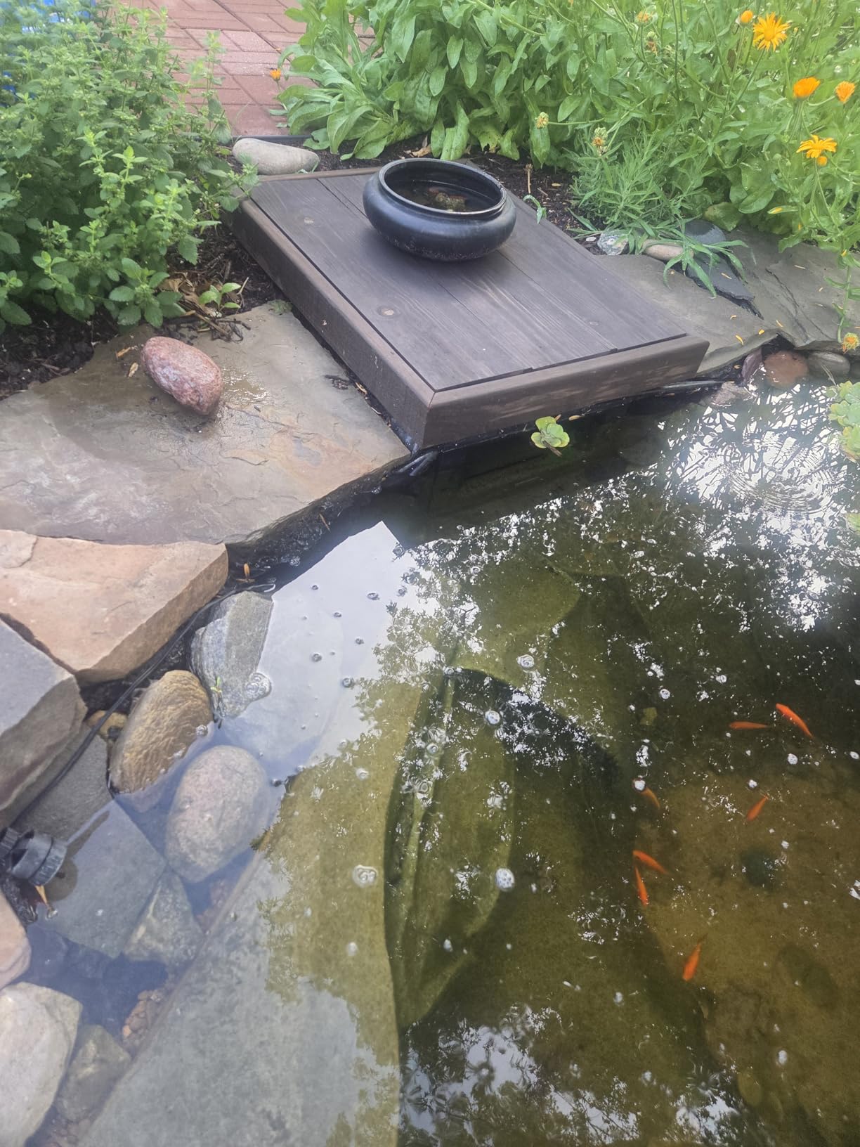 Waterscapes International PS4500 Pond Skimmer, with 9-Inch Weir Door customer photo 1