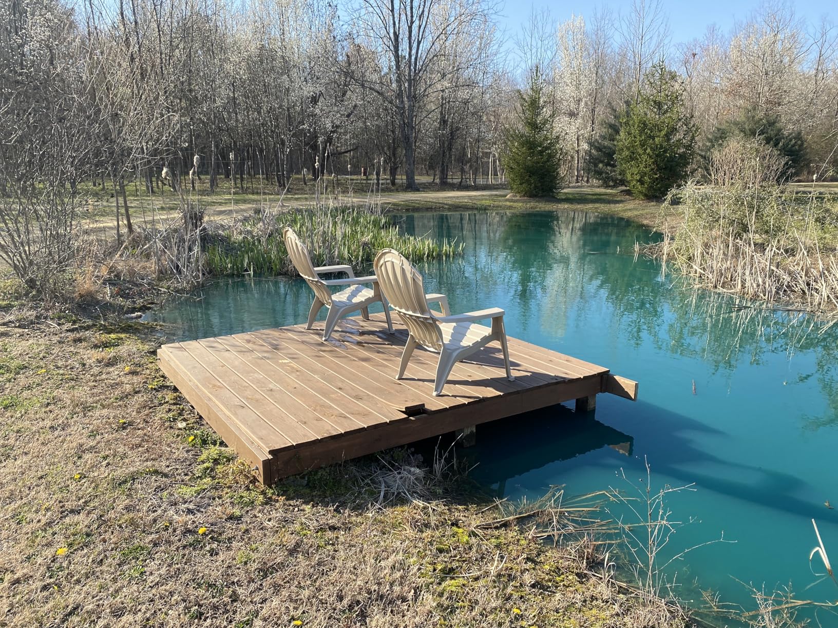 Aquashade Blue Pond Dye - 1 Gallon EPA-Approved Sunlight Blocker for Algae - Weed Suppression - Safe for Fish, Livestock and Swimming - Eco-Friendly Liquid Treatment for Water customer photo 2