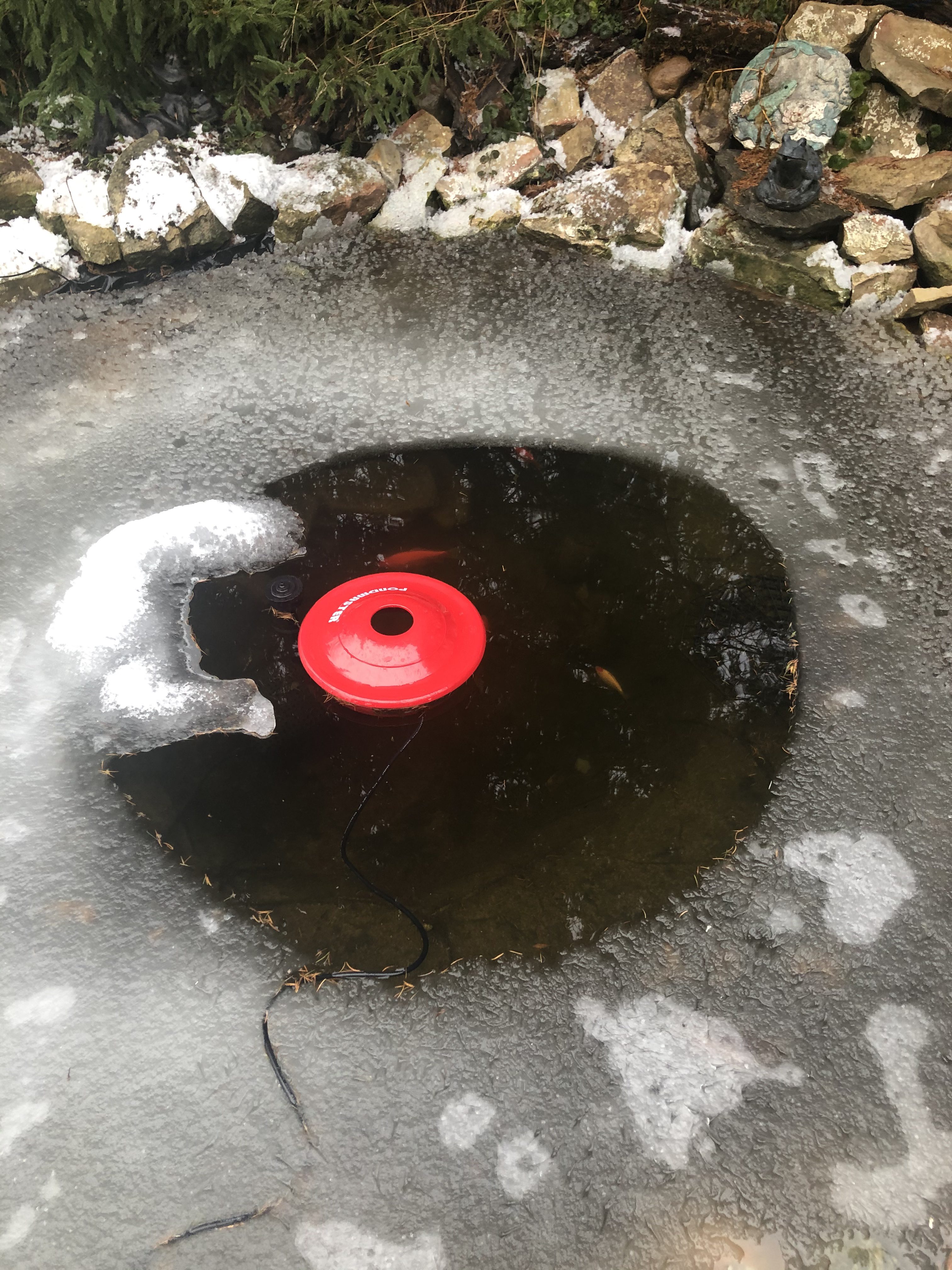 Danner Manufacturing, Pondmaster Pond De-icer, Red, 02175 - Fixed Thermostatic Control Reduces Heating Time & Saves Electricity customer photo 2