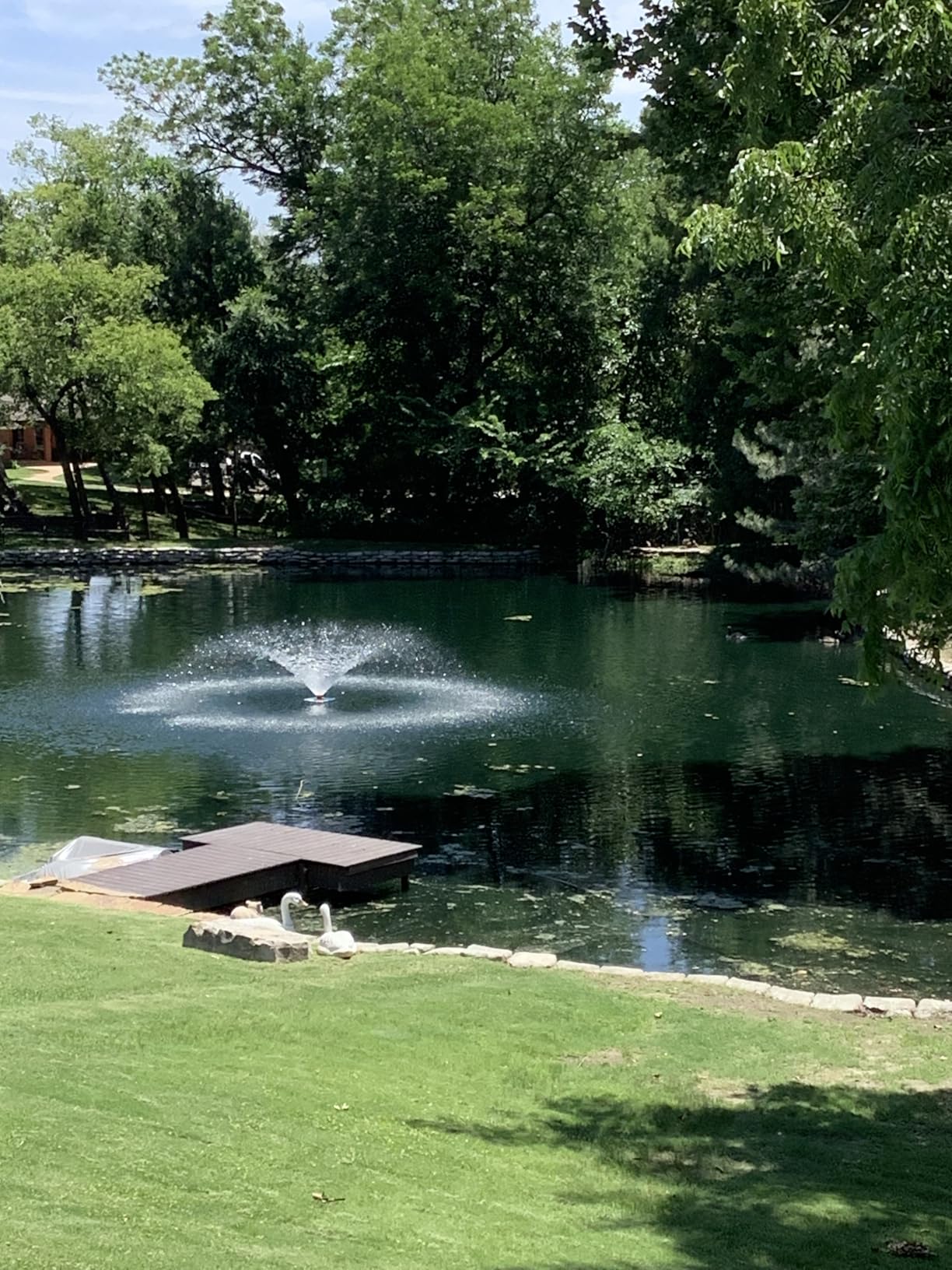 Cutrine-Plus Liquid Algaecide - 1 Gallon EPA-Approved Copper Formula for Fast Control of Planktonic, Filamentous and Chara Algae - Professional-Grade for Ponds, Lakes, Hatcheries & Irrigation Systems customer photo 1