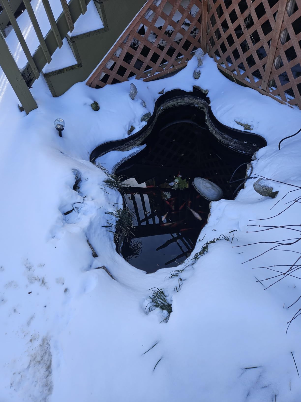 Tetra Pond De-Icer, Winter Survival Solution for Fish, Keeps Area Of Pond Free From Ice To Release Toxic Gases, Works As Low As -20 Degrees, 300 Watts, 15 ft Power Cord customer photo 2