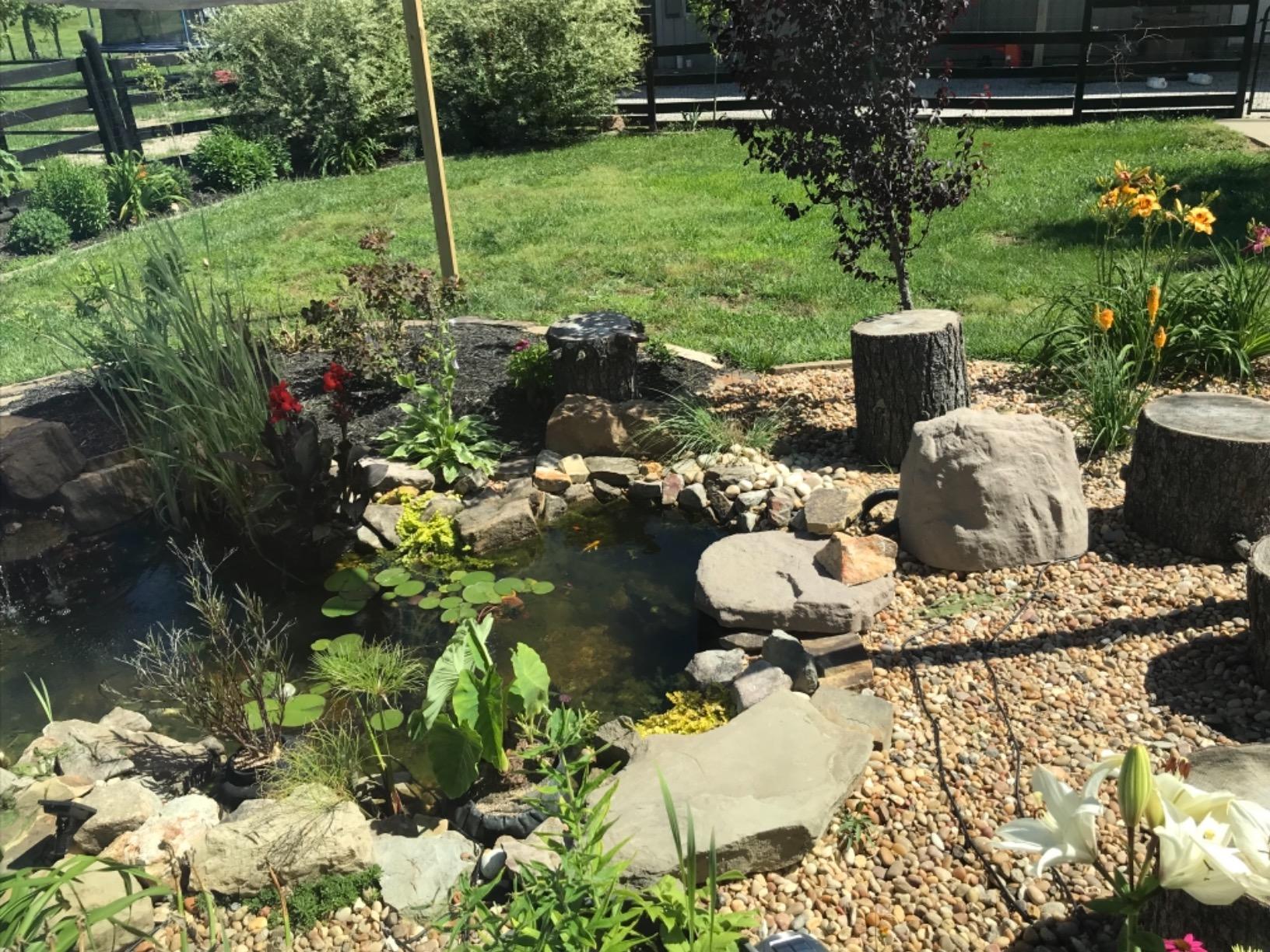 Aquascape DIY Backyard Pond Kit 8 x 11 feet - Complete Water Garden Ecosystem with Pump, Skimmer, and Filter, 99765 customer photo 1