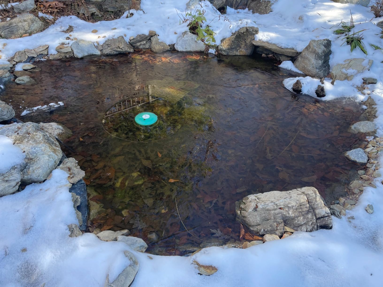 Farm Innovators 1250 Watts 7.5 Inch Cast Aluminum Floating Outdoor Pond De Icer Heater with Built in Thermostat Control and 10 Foot Cord, Green | Thermostatically controlled heater operates only when necessary, for use in ponds 50 to 600 gallons, 10-ft grounded cord customer photo 1