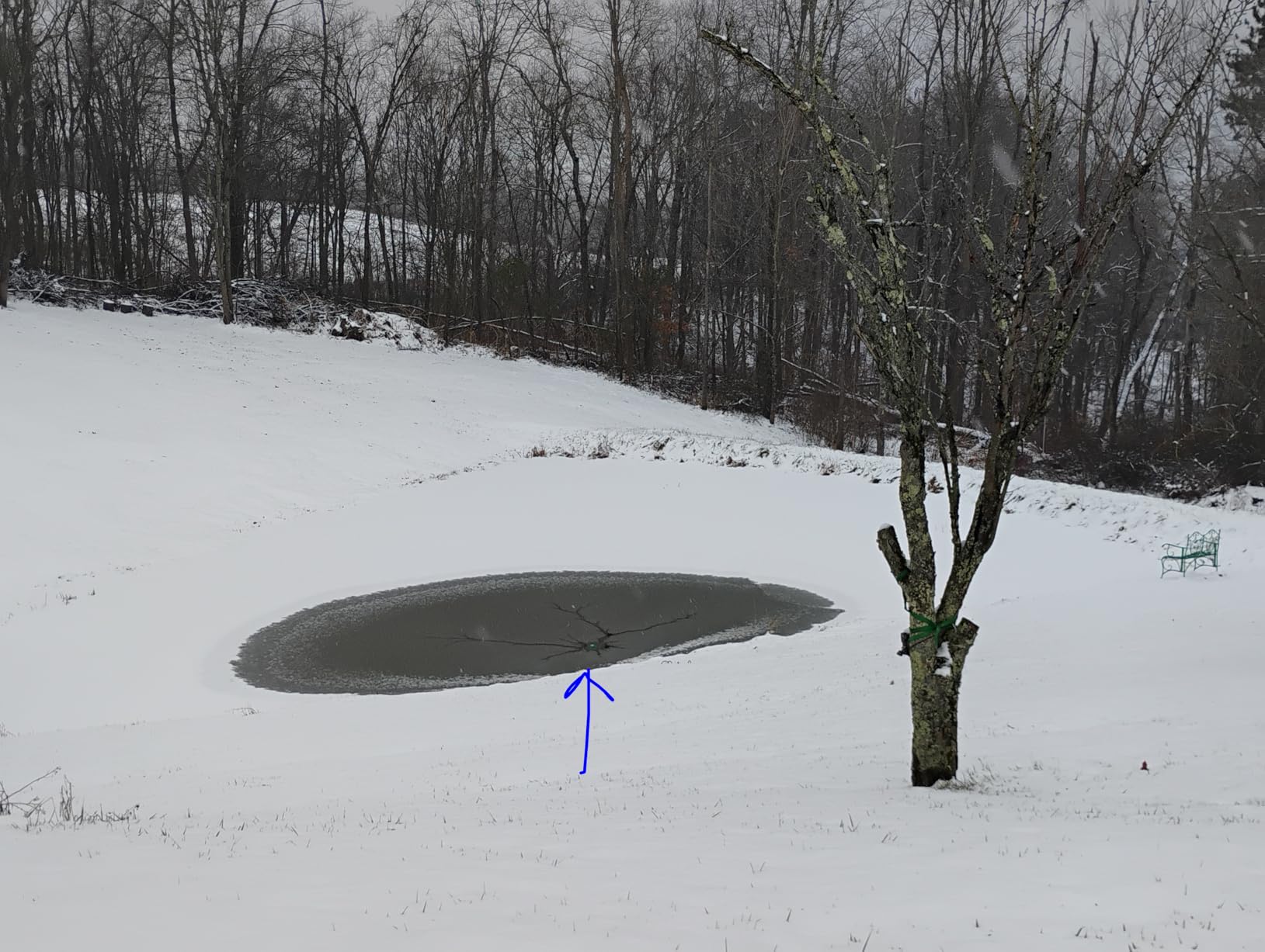 Farm Innovators 1250 Watts 7.5 Inch Cast Aluminum Floating Outdoor Pond De Icer Heater with Built in Thermostat Control and 10 Foot Cord, Green customer photo 2