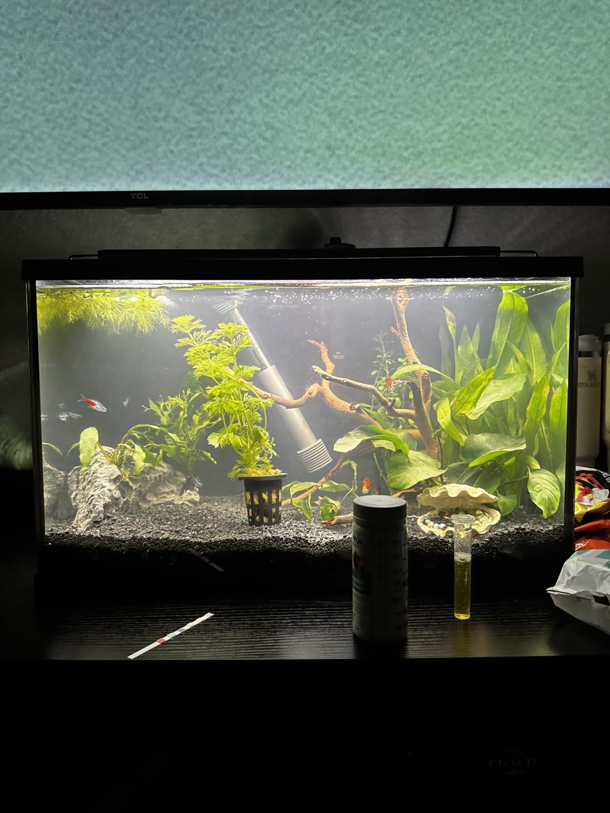 Seachem Flourite Black Clay Gravel - Stable Porous Natural Planted Aquarium Substrate 15.4 lbs customer photo 1