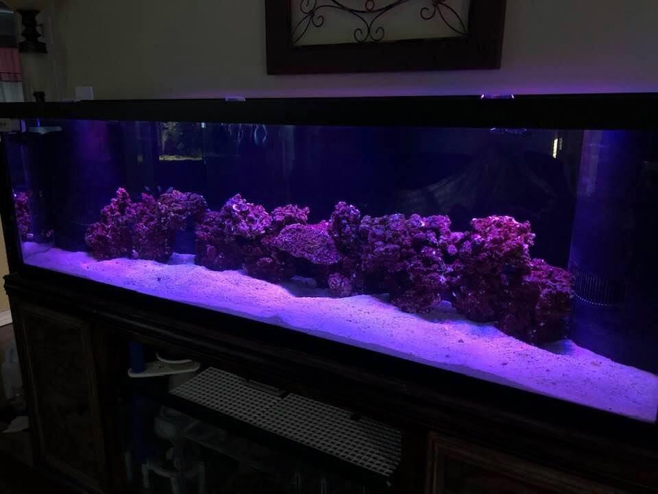 API REEF MASTER TEST KIT Reef Aquarium Water Test Kit 1-Count customer photo 1