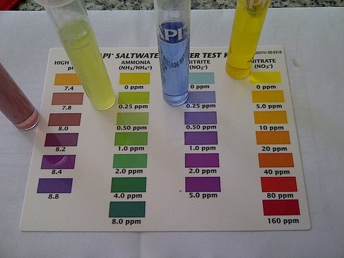 API SALTWATER MASTER TEST KIT 550-Test Saltwater Aquarium Water Test Kit customer photo 1