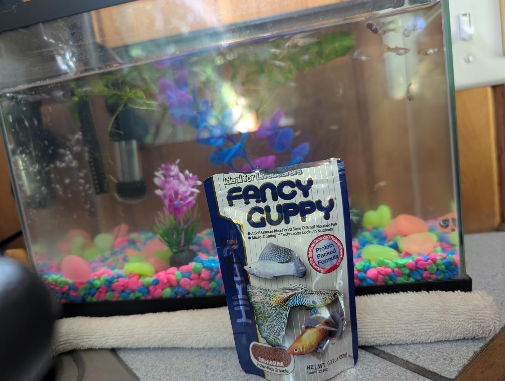 Hikari Tropical Fancy Guppy Fish Food, 0.77 oz (22g) customer photo 2