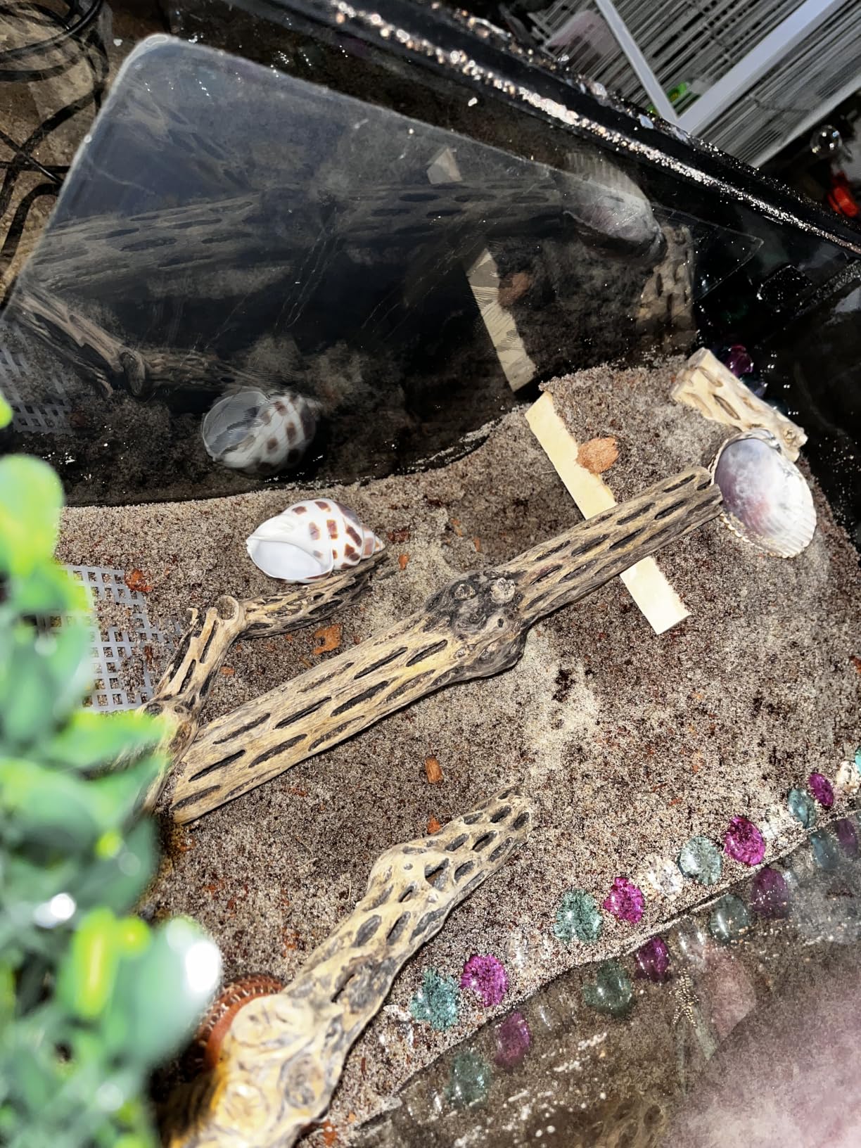 Zilla Coconut Husk Brick, Organic Bedding for Reptiles, Made with 100% Coconut Fiber, Ideal for Tropical Habitats and Egg Incubation customer photo 1