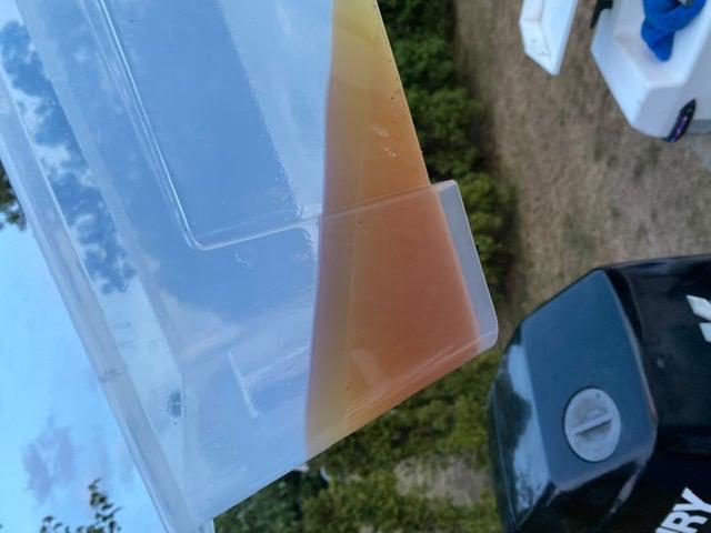 Quicksilver 802893Q01 Water Separating Fuel Filter for Mercury and Mariner Outboards, MerCruiser Sterndrive and Inboard Engines customer photo 2