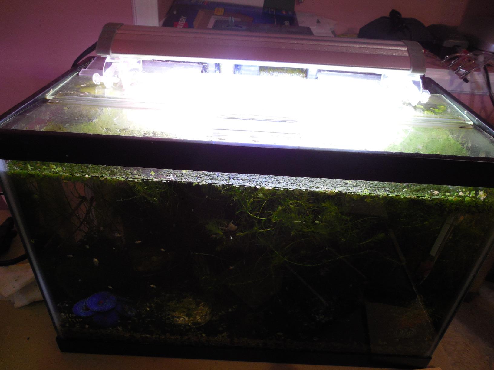 All Glass Aquarium AAG29016 Versa Top, 16-Inch | Glass Aquarium Versa Top customer photo 1