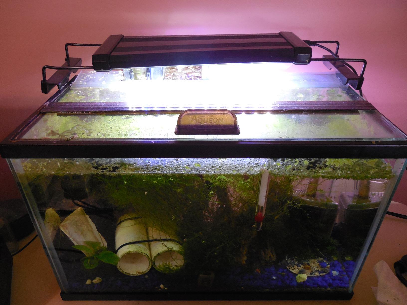 All Glass Aquarium AAG29016 Versa Top, 16-Inch | Glass Aquarium Versa Top customer photo 2