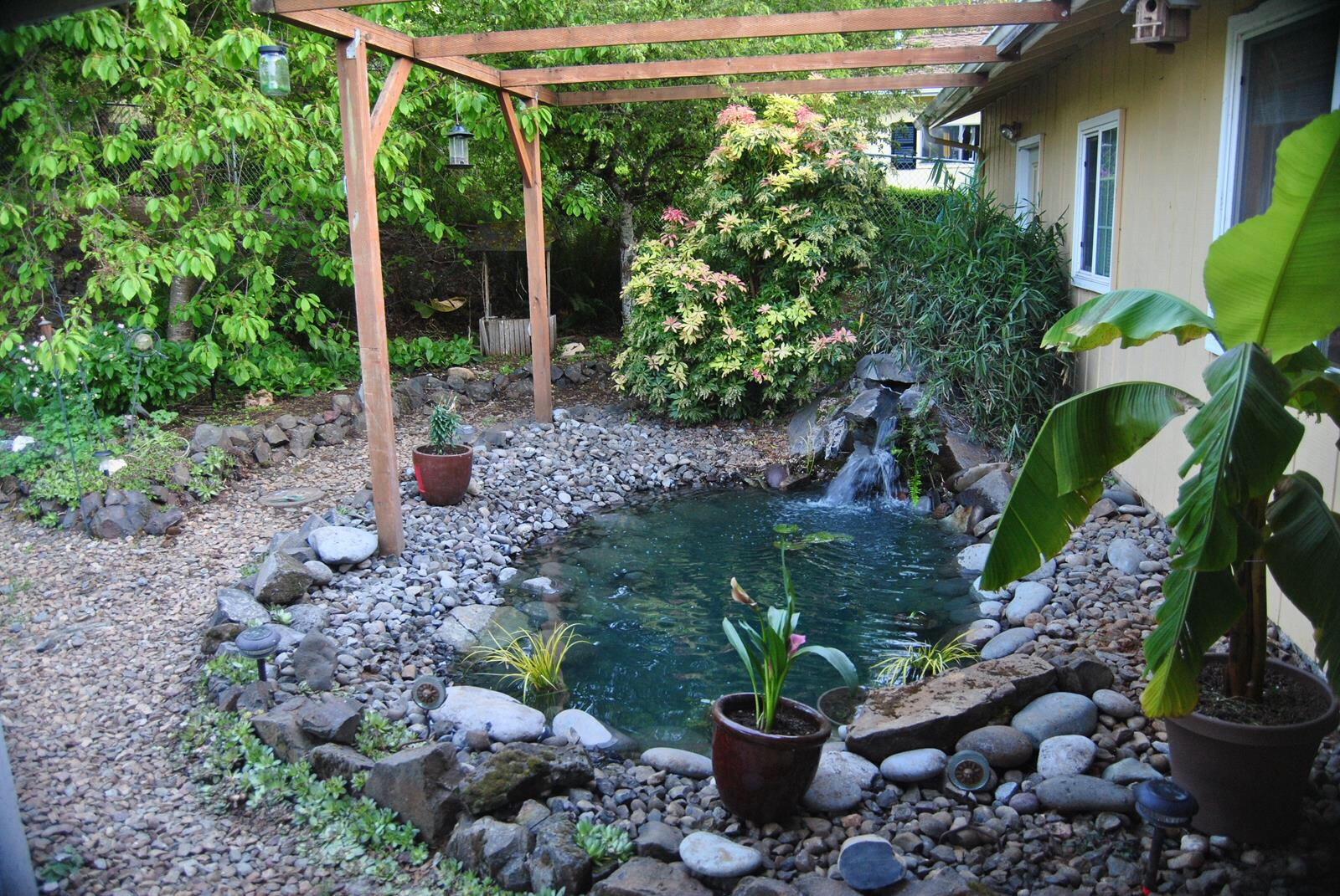 TetraPond Bio-Active Pressure Filter, for Ponds Up to 1500 Gallons | 2-Step Mechanical & Biological Filtration, For Clean & Healthy Ponds, Easy To Clean With Backflush Valve customer photo 2