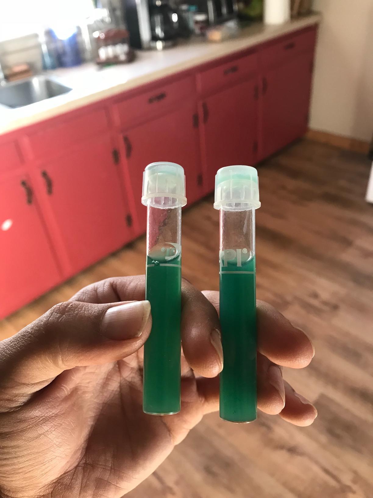 DrTim's Aquatics One & Only for Freshwater Aquariums - 8 oz - Live Nitrifying Solution - Jumpstarts Cycling customer photo 1
