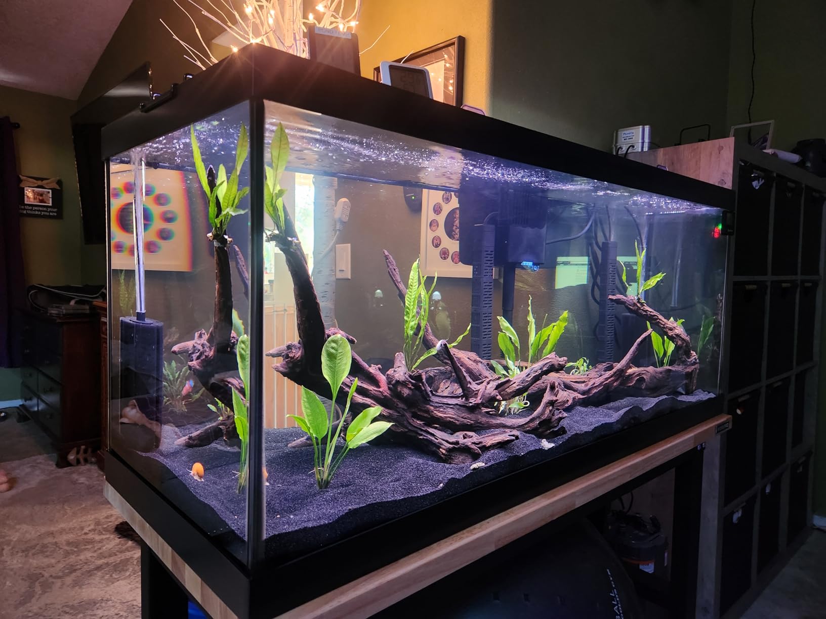 Tetra SafeStart Plus for New Freshwater Aquariums, 3.38 oz - Establishes Healthy Bacteria In New Fish Tanks customer photo 1