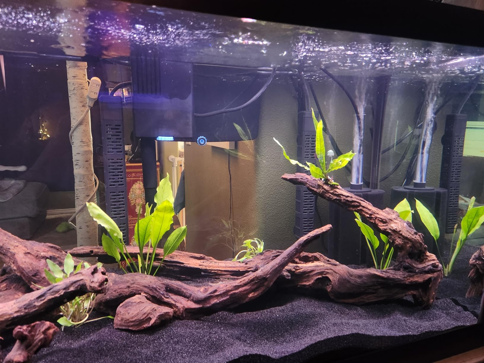 Tetra SafeStart Plus for New Freshwater Aquariums, 3.38 oz - Establishes Healthy Bacteria In New Fish Tanks customer photo 2