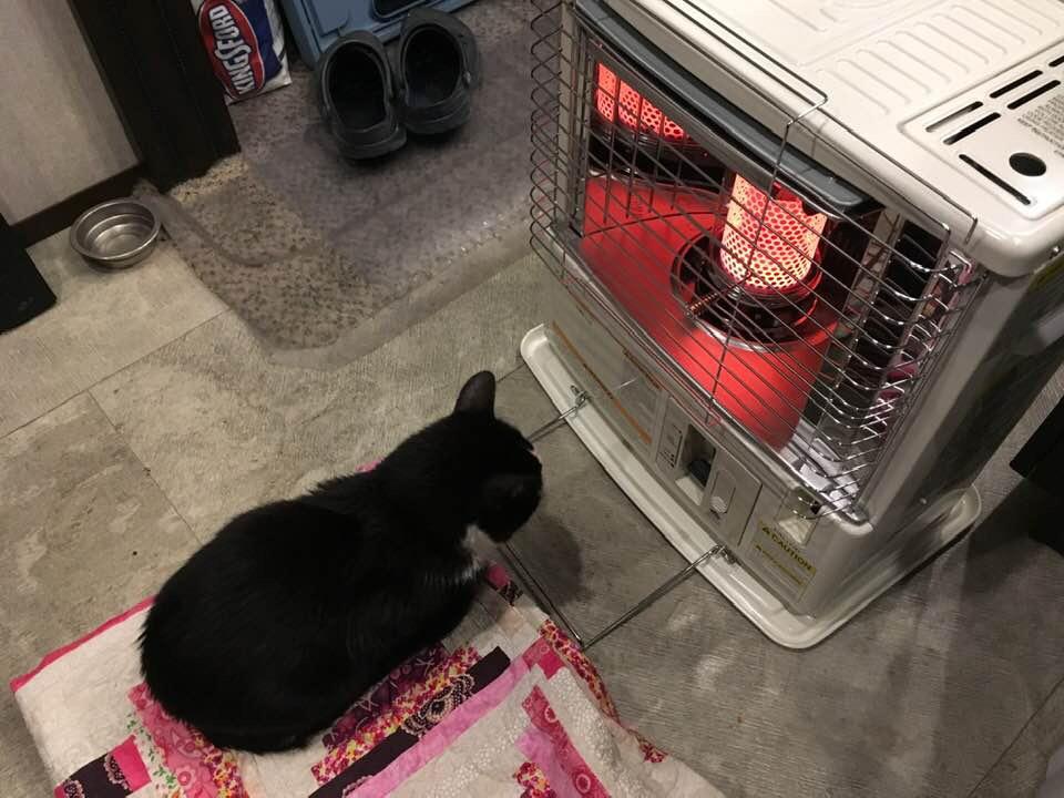 Sengoku HeatMate Indoor & Outdoor Portable Kerosene Oil Heater, 10,000 BTU customer photo 1