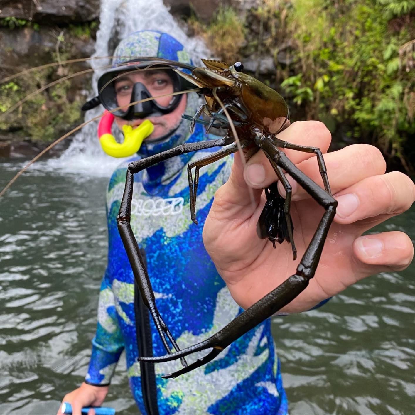 Hollis M-1 Mask | Ideal for Scuba Diving and Snorkeling | Ultra Clear Glass | Comfortable, Frameless Silicon Skirt | Wide Range of Vision | Distortion Free Vision | Fantastic Color Visibility customer photo 2