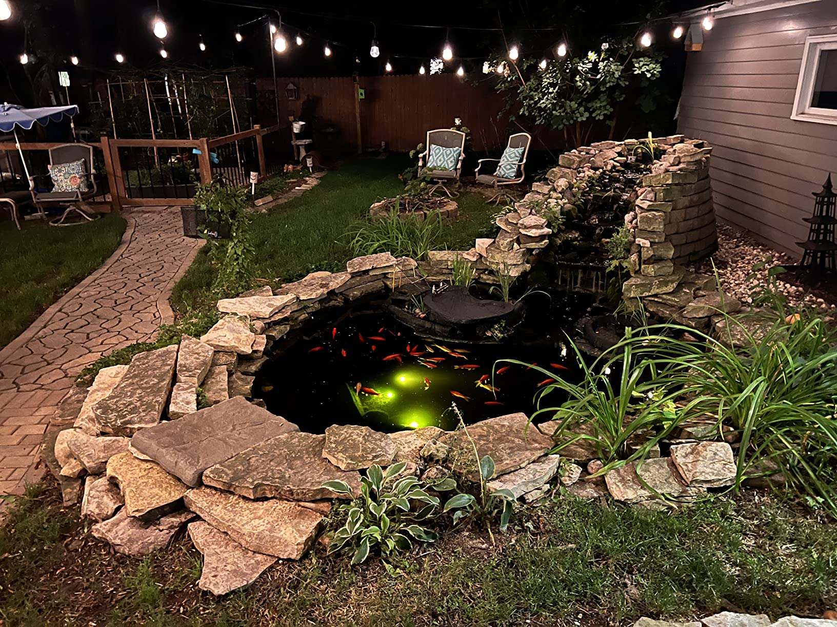 Aquascape Beneficial Bacteria Concentrate for Pond and Water Features, 1.1-Pound, 98949 customer photo 2