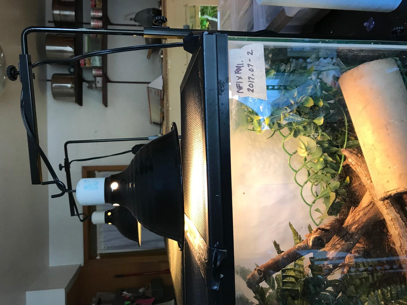 Fluker's Repta-Clamp Lamp, Heavy Duty Clamp Light For Reptile Tanks and Terrariums, UL/CUL Approved, Great for Reptile Basking, 150-Watt Maximum with Dimmable Switch, 8.5