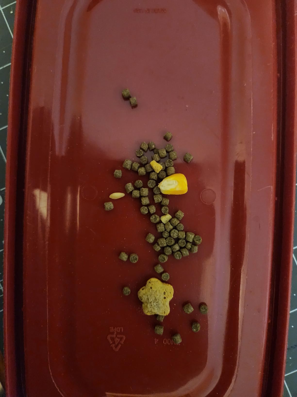 Aqueon Cichlid Food Medium 7.5 Ounces customer photo 2