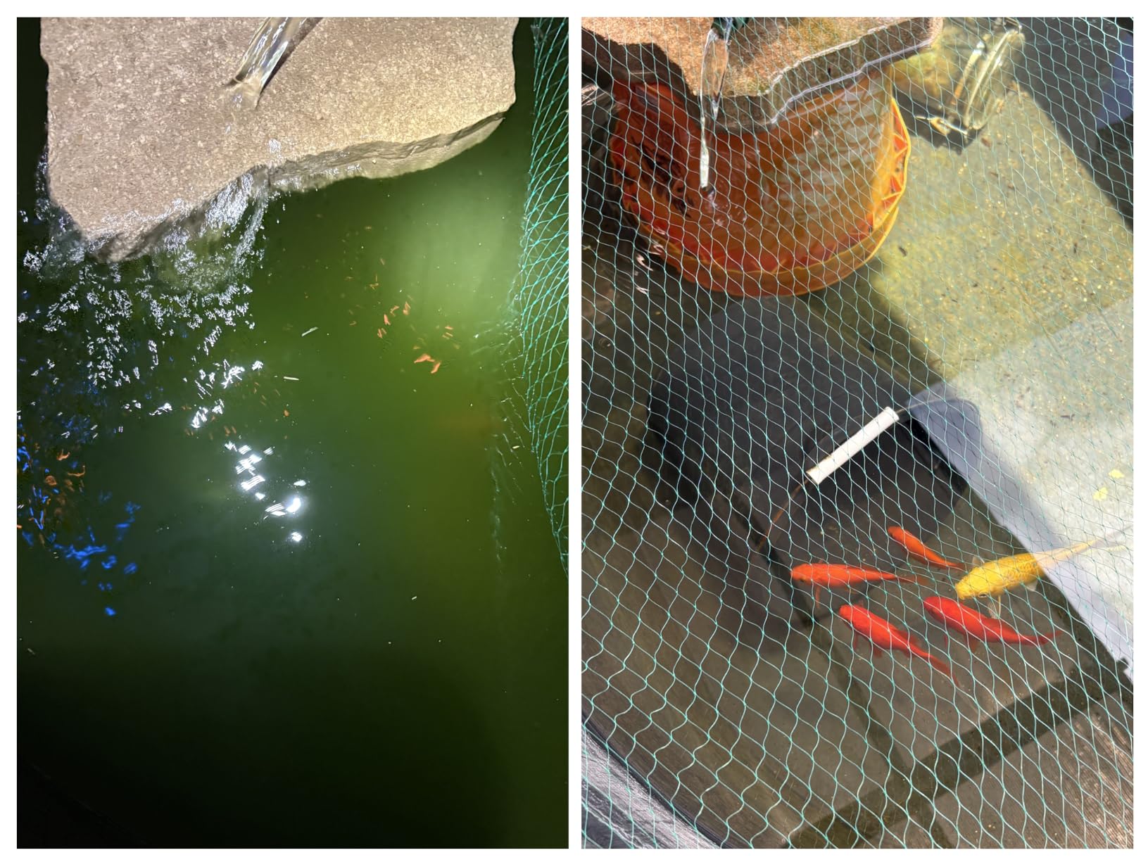 Tetra Pond GreenFree UV Clarifier UVC-5 for Clean & Clear Ponds | For Ponds Up To 660 Gallons, Removes Algae & Keeps Ponds Algae Free, Includes High-Efficiency 5W UV Bulb customer photo 1