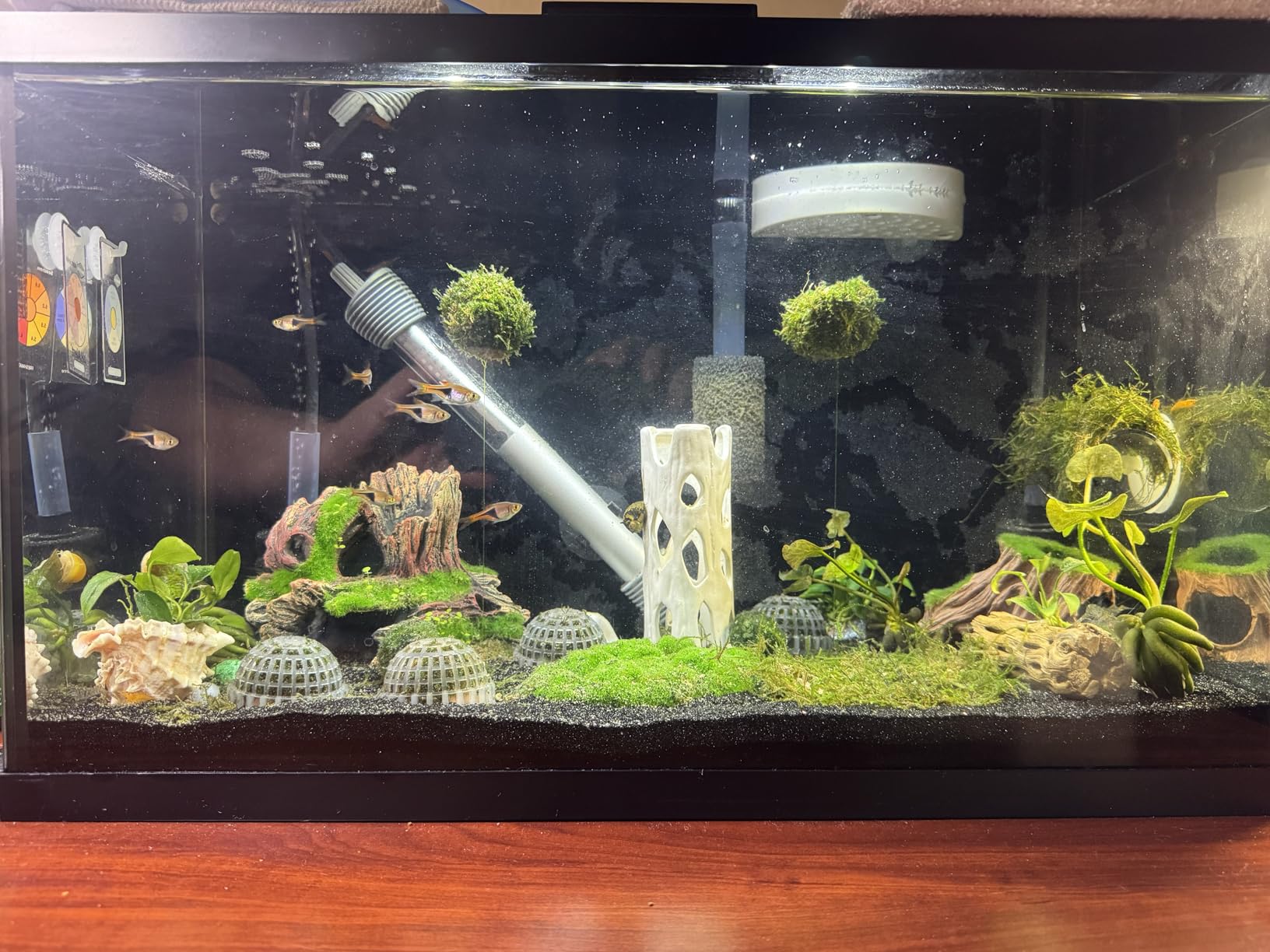Aqueon Aquarium Algae Scraper, Fish Tank Magnetic Glass Cleaner for Glass/Acrylic, Medium customer photo 2