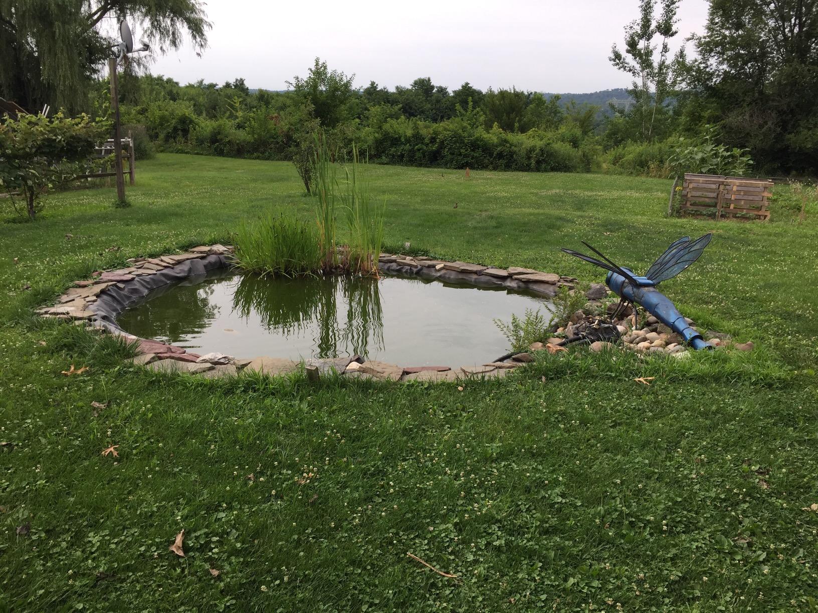 OASE PondoVac Classic Pond Vacuum Cleaner customer photo 2