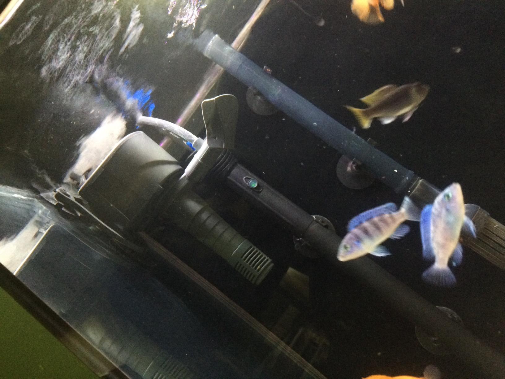 Marineland Maxi-Jet 600, Multi-Use Water Pump And Power Head, Fully Convertible (ML90510), 160/750 GPH customer photo 1