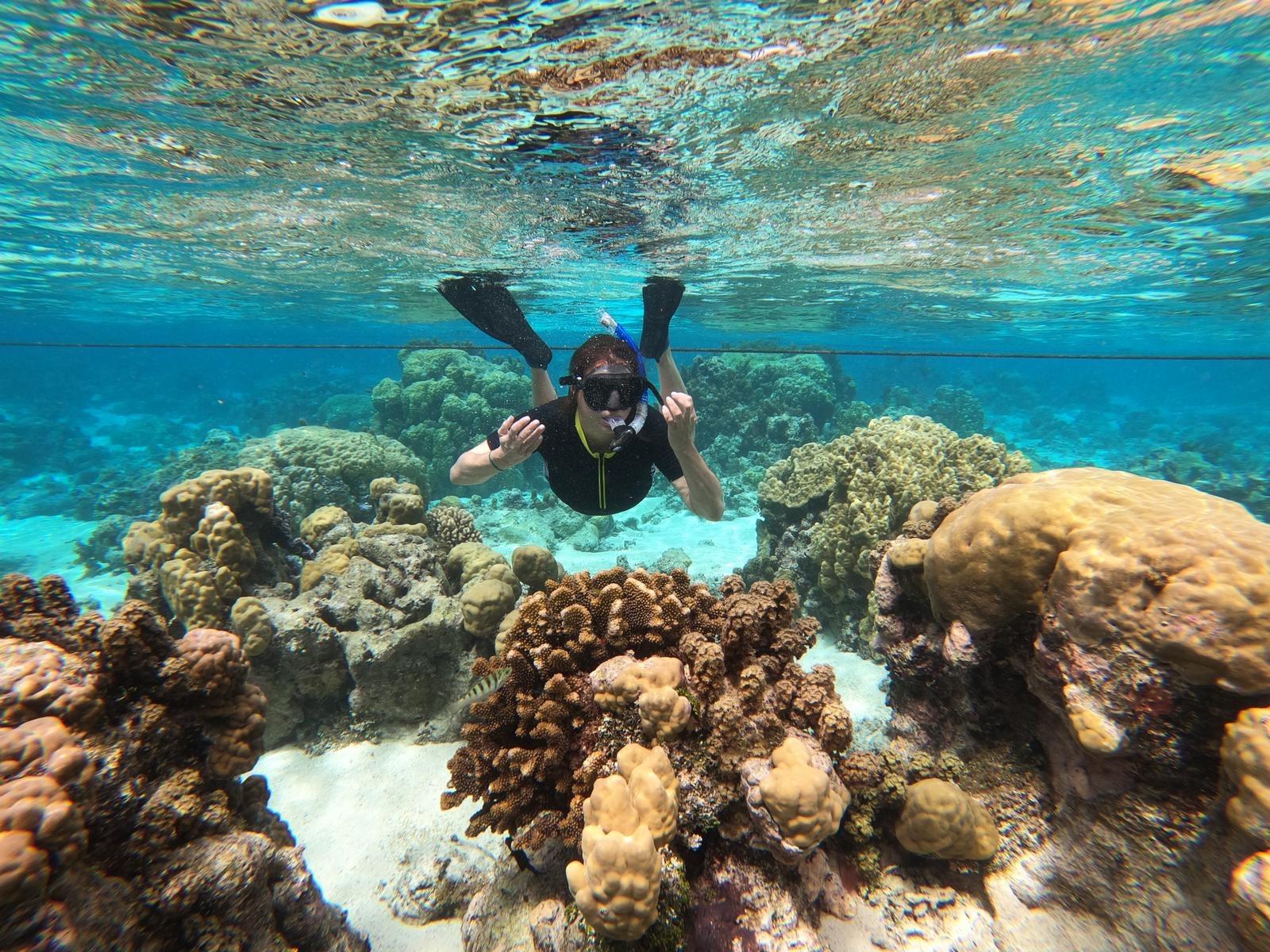 Mares Unisex Adults Ergo Dry Snorkel - Durable Lightweight Scuba Diving & Snorkeling Gear with Dry Top & Ergonomic Mouthpiece customer photo 1