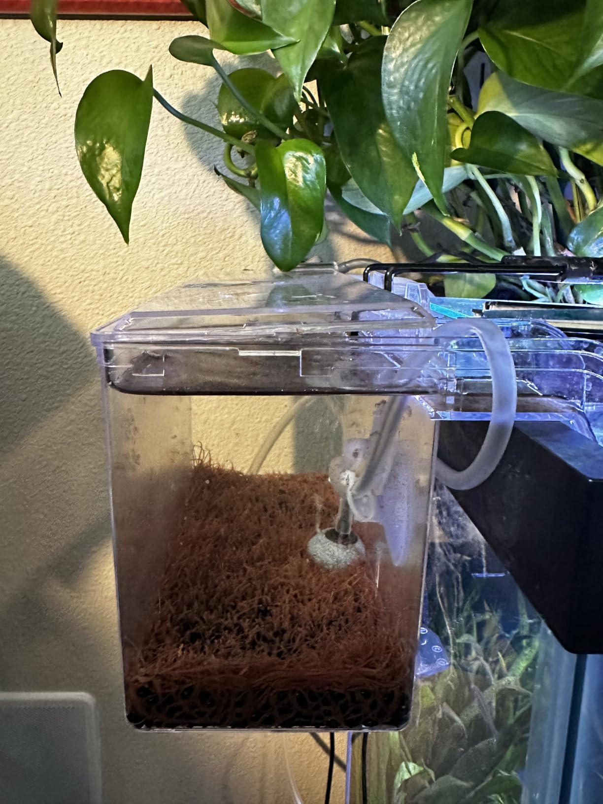 Fluval Multi-Chamber Holding and Breeding Box, Medium customer photo 2