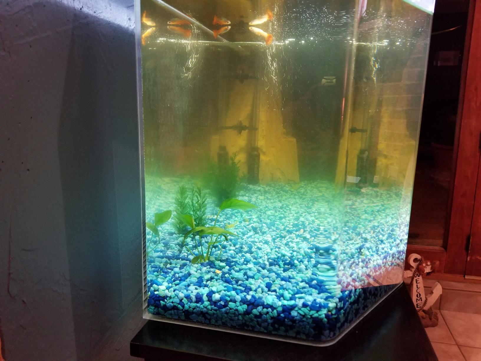 Coralife Aquarium Fish Tank Marine Salt Water Turbo-Twist UV Sterilizer 3X, For up to 125 Gallons customer photo 1
