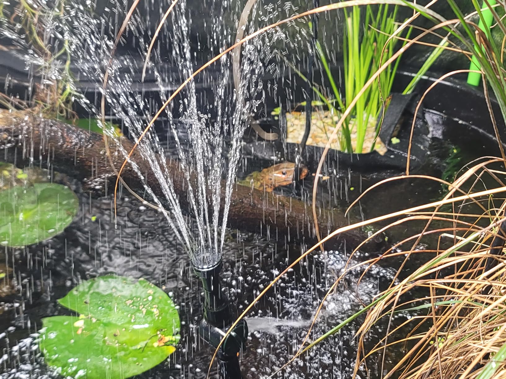 pond boss Medium Filter Kit with Pump for Ponds and Water Features customer photo 1