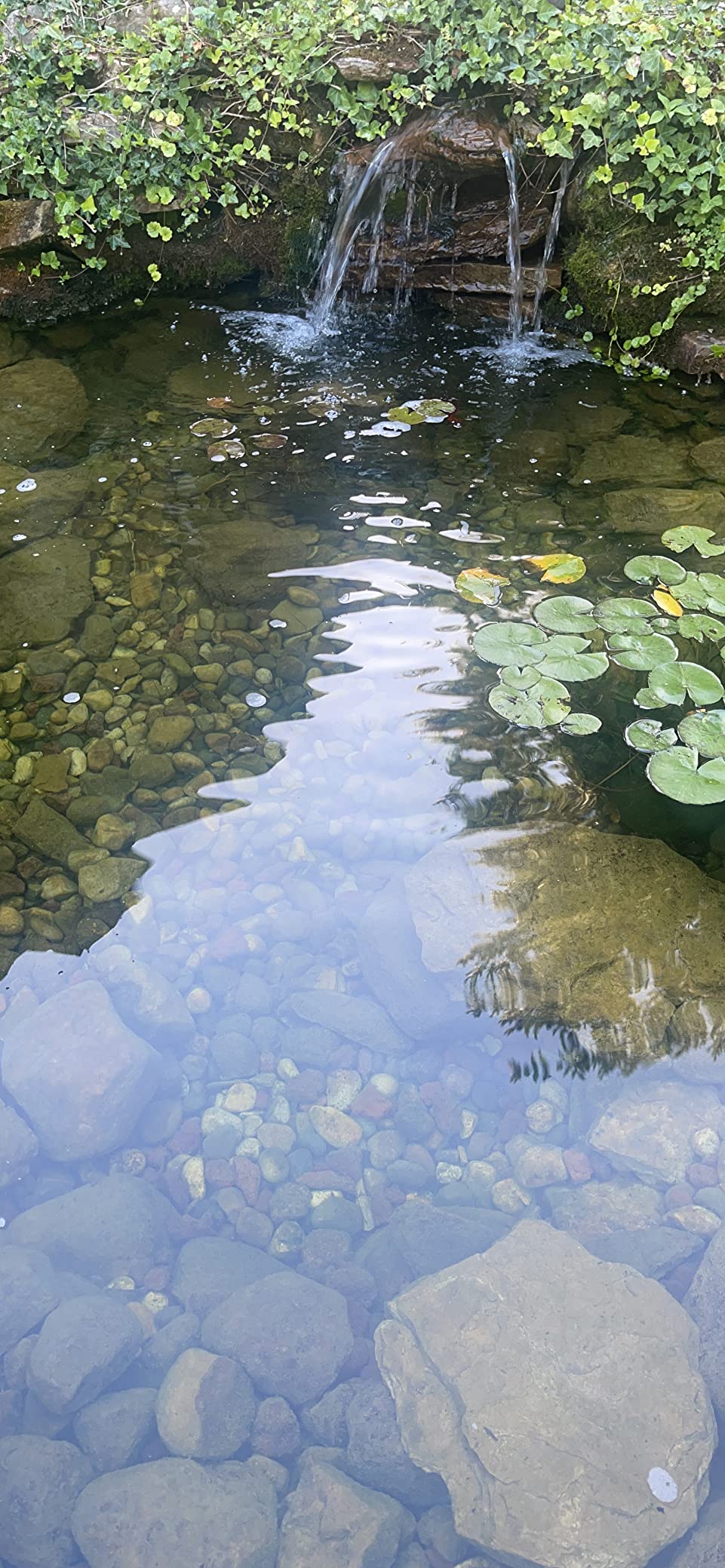 GreenClean Granular Algaecide, 20 lbs, String Algae Control for Koi Ponds, Fountains, Waterfalls, Water Features on Contact, EPA Registered customer photo 2