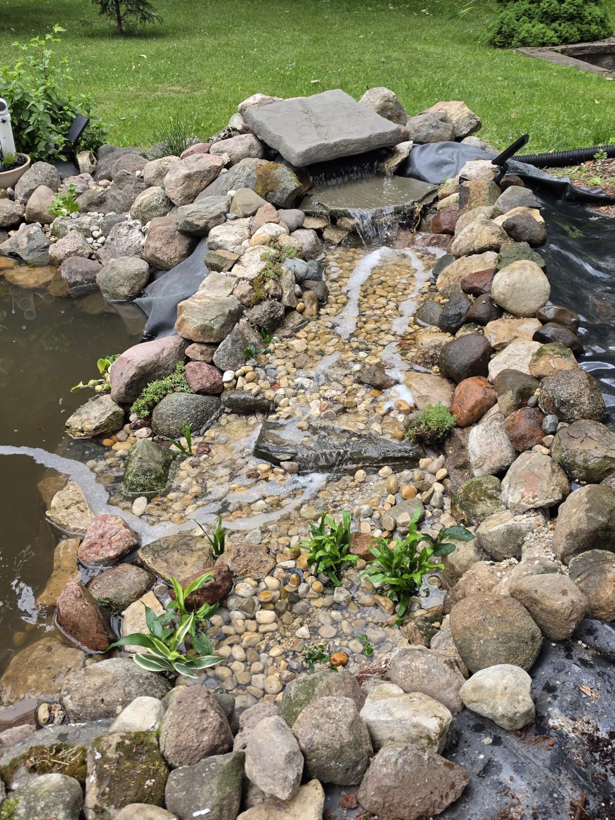 Anjon LifeGuard 15 ft. x 20 ft. 45 Mil EPDM Pond Liner customer photo 2