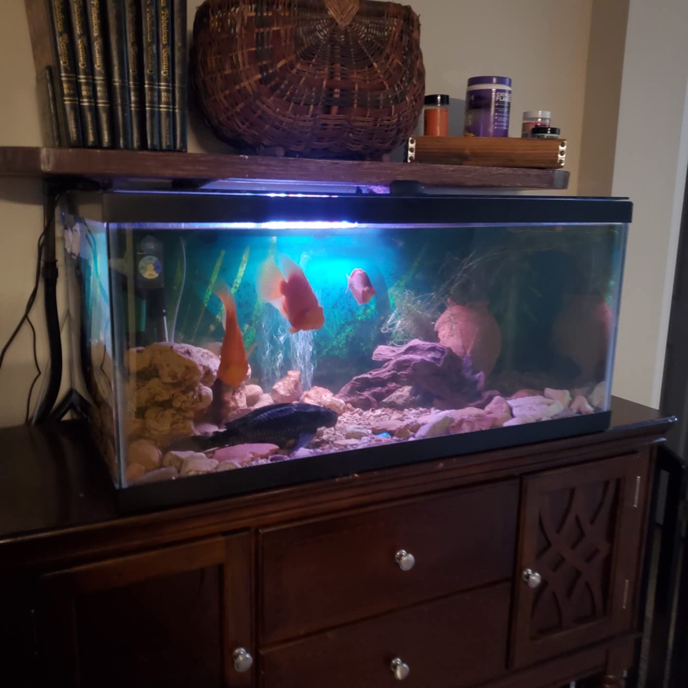 Omega One Cichlid Flakes, 5.3 oz customer photo 2