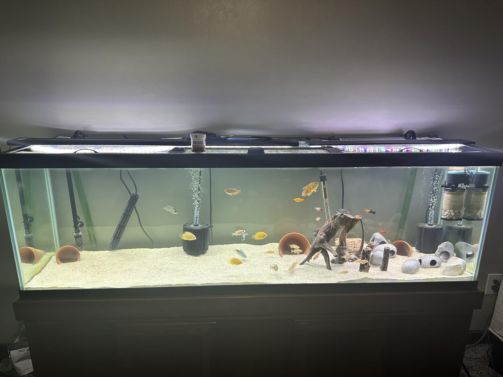 Hikari USA AHK73214 Ich-X for Aquarium, 4-Ounce customer photo 2