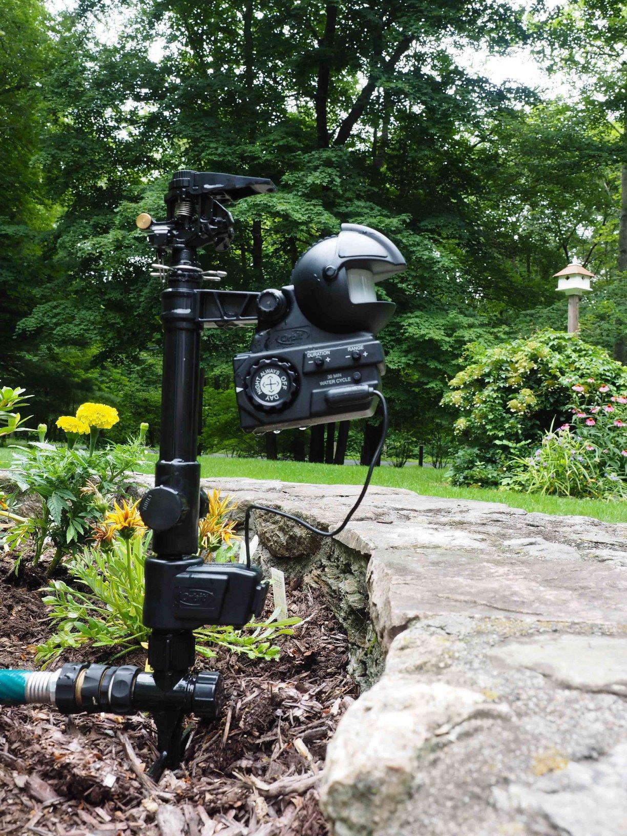Orbit Yard Enforcer Motion-Activated Sprinkler - Outdoor Animal Repeller & Lawn Protector - Motion Sensor - Multi-Angle Detection - Weatherproof Dual-Purpose Sprinkler - 62100 customer photo 2