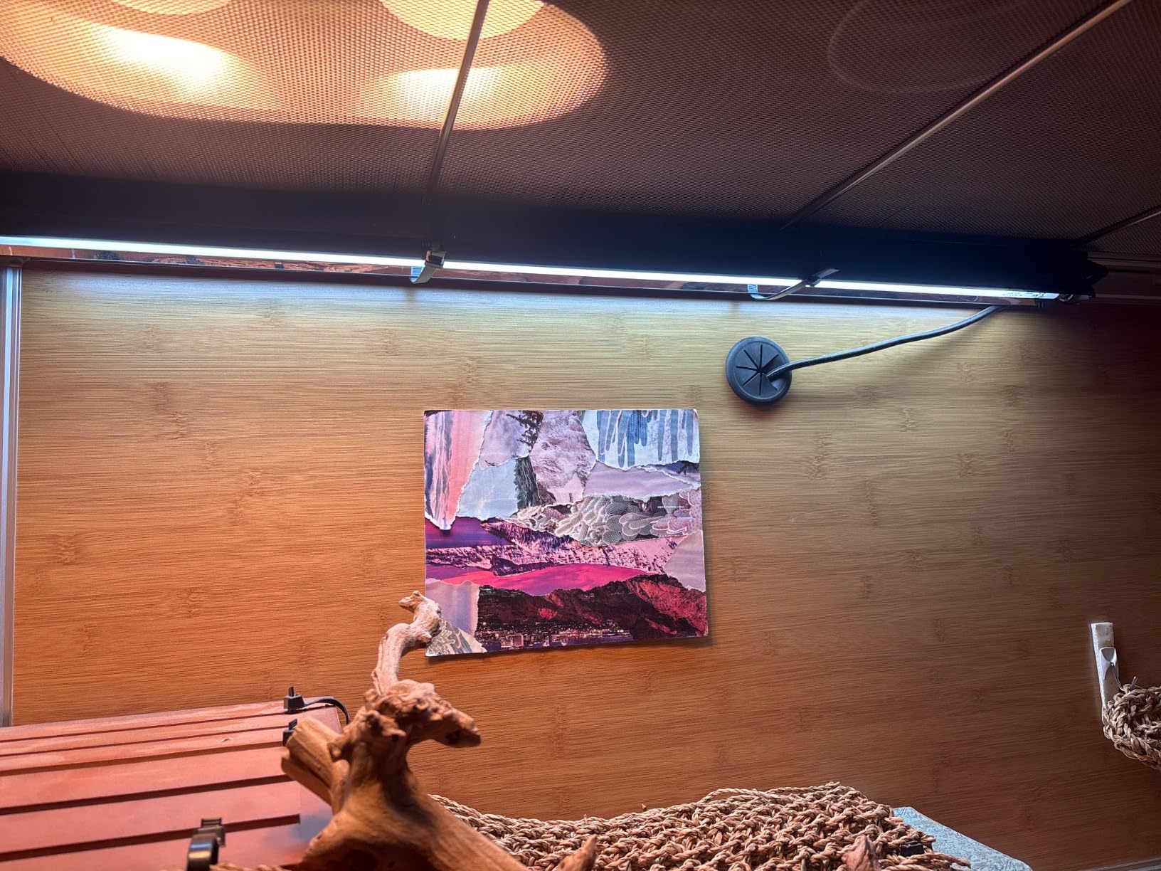 Zoo Med ReptiSun 10.0 HO T5 UVB Lamp, 34