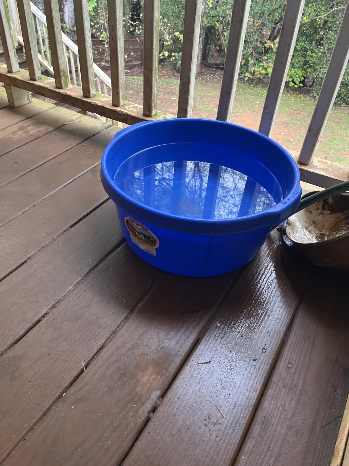 Little Giant Plastic All-Purpose Tub | Plastic Pond Tub | Feed Tub | Durable Plastic Livestock Feeding Pan with Hand Grips | Made in USA | 6.5 Gallons customer photo 1