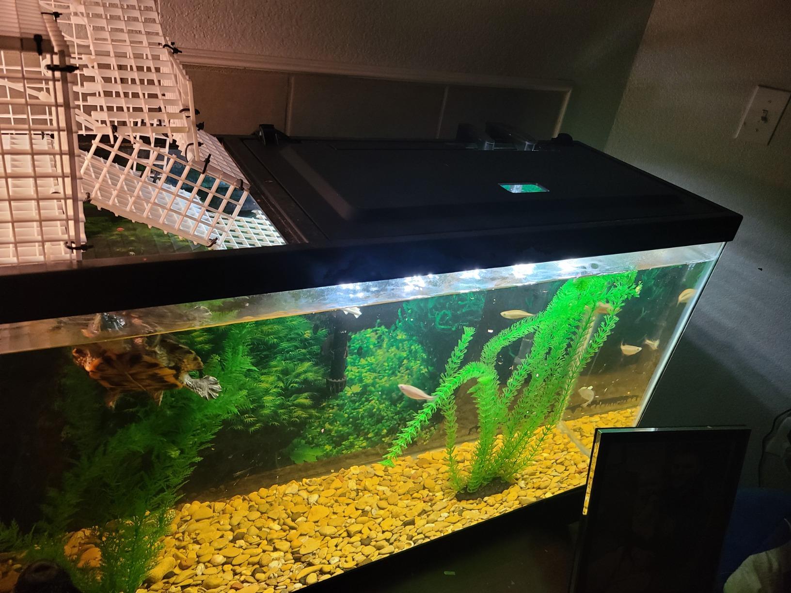 Tetra LED Aquarium Hood 20 in x 10 in, Low-Profile Fish Tank Cover | With Hidden Lighting customer photo 2