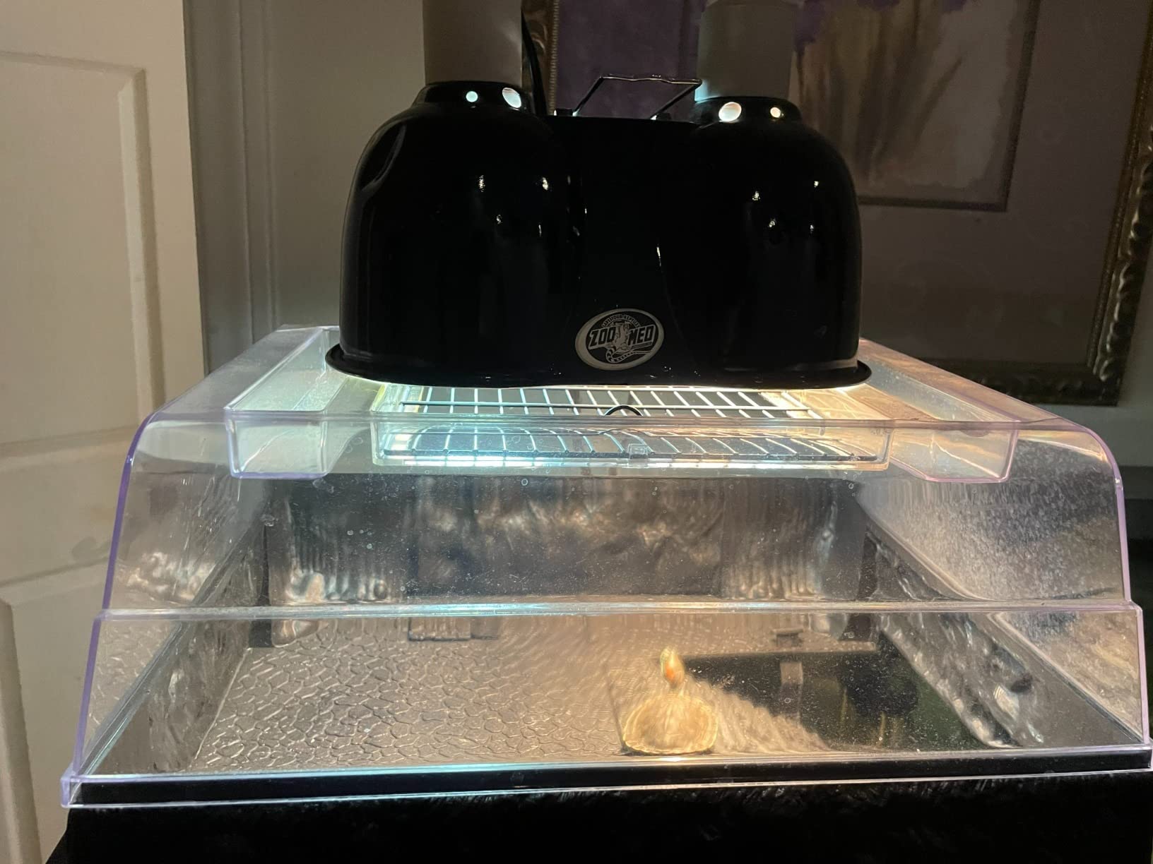 Zoo Med Turtle Lamp Combo Pack customer photo 1