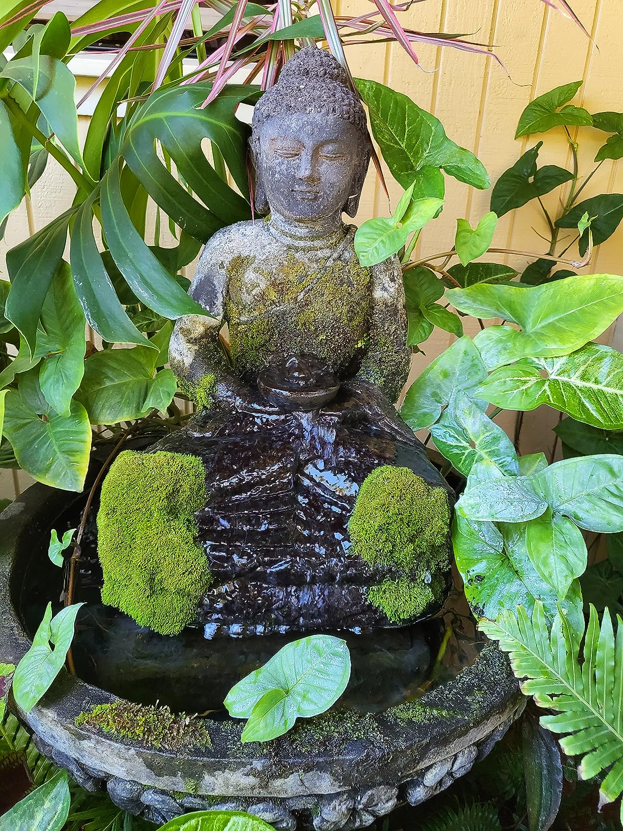 Aquascape Algaecide for Pond, Waterfall, and Water Features, 32-Ounce, 96024 customer photo 2