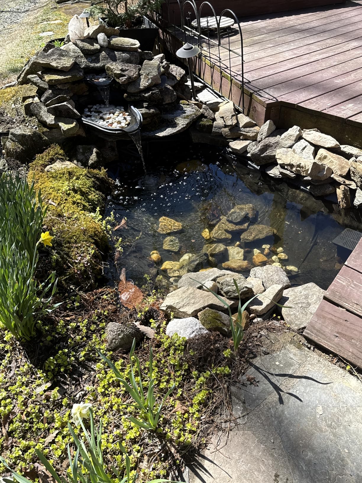 Beckett Corporation Flexible Pre-Cut PVC Liner - Ideal for Small Ponds, Koi Ponds, Water Gardens, and Fountains - 8 Foot x 10 Foot, Black customer photo 1