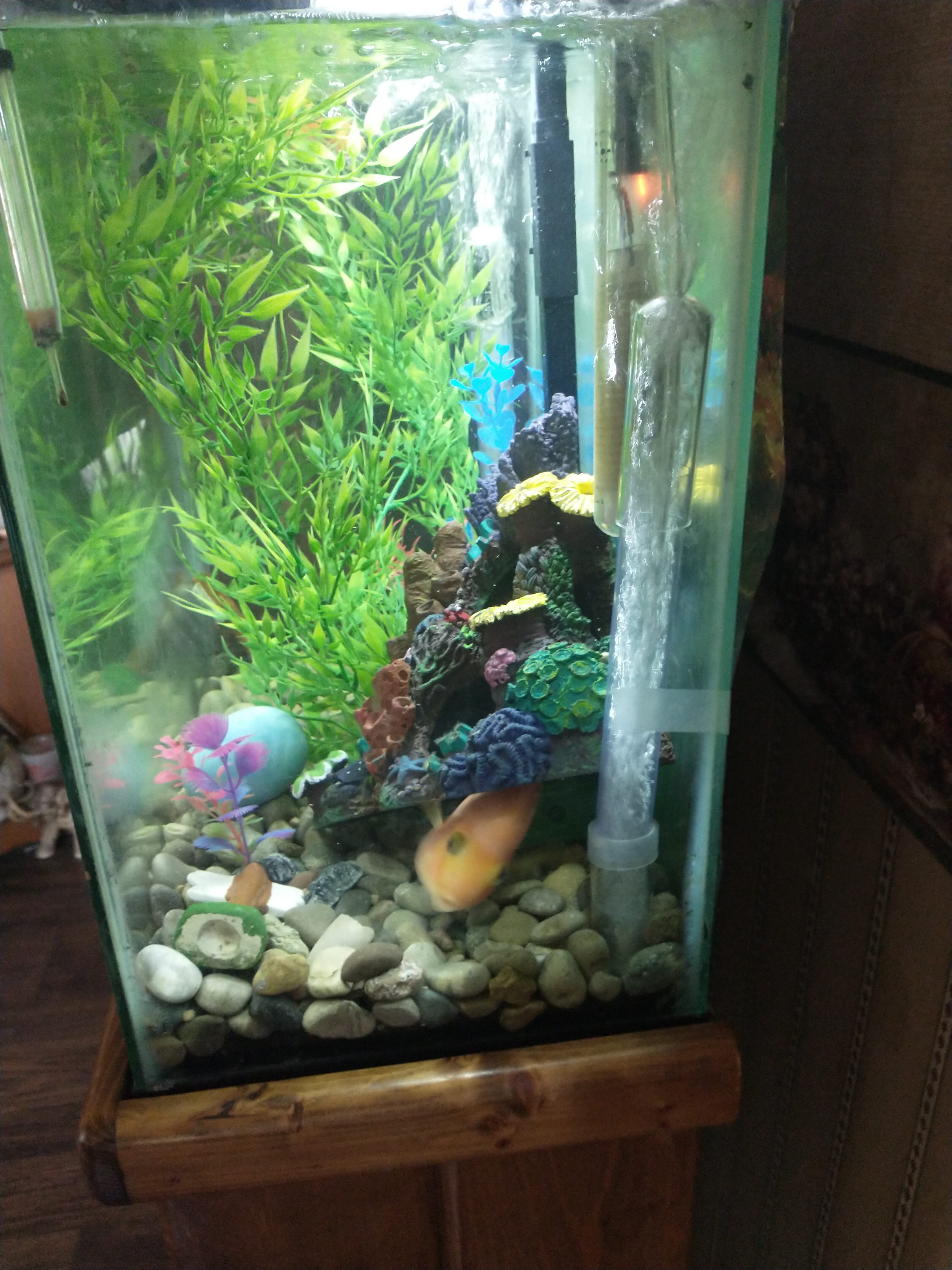 Lee's 13210 10 Original Under Gravel Filter, 10