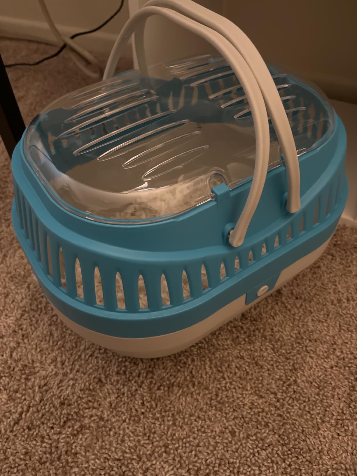 Trixie Pico Transport Crate - Portable Pet Carrier Great for On-The-Go - Traveling Cage for Small Pets, Hamsters, Guinea Pigs, Lizards, and More customer photo 2