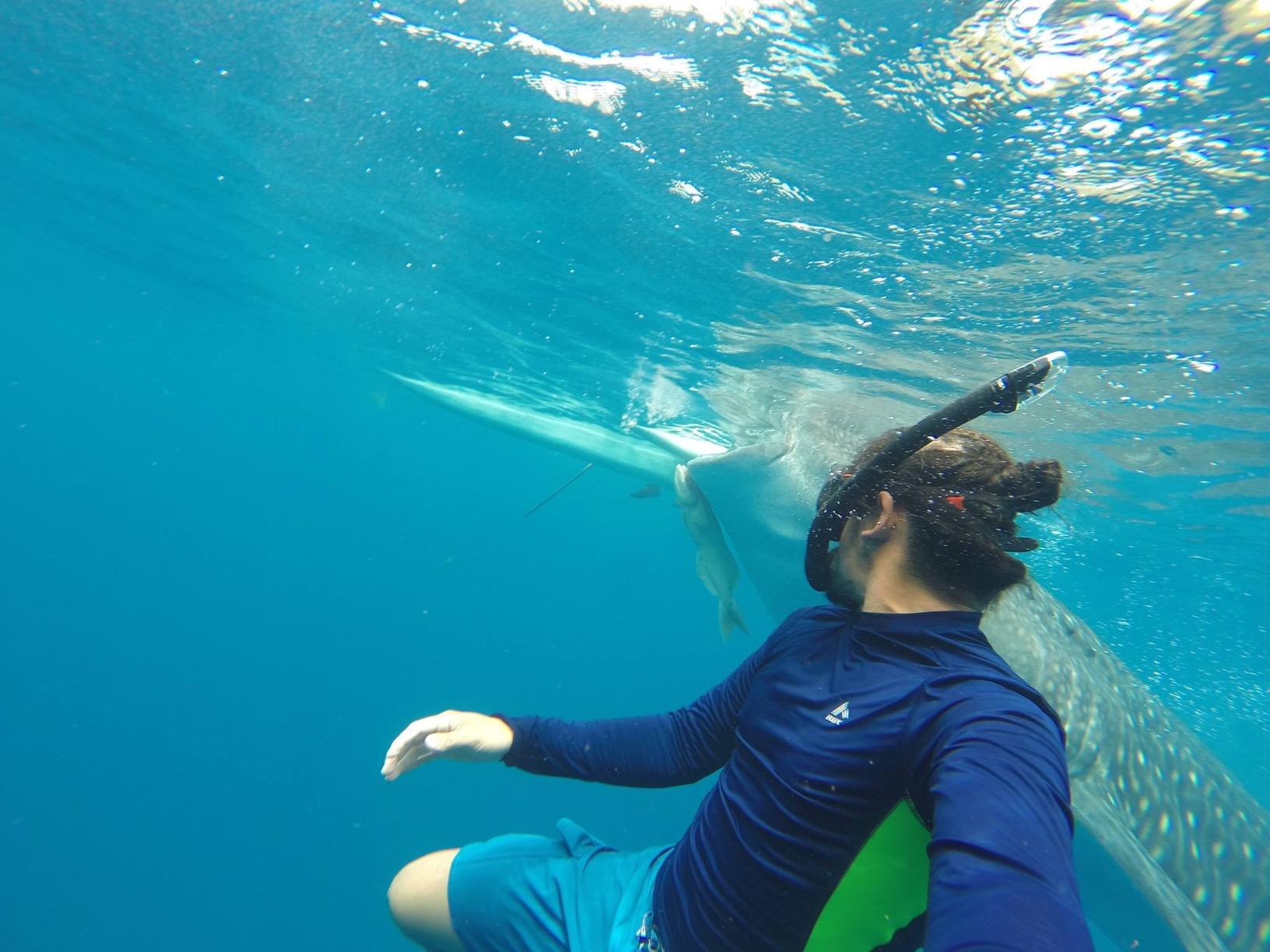 TUSA SP-0101 Hyperdry Elite II Scuba Diving Snorkel customer photo 2