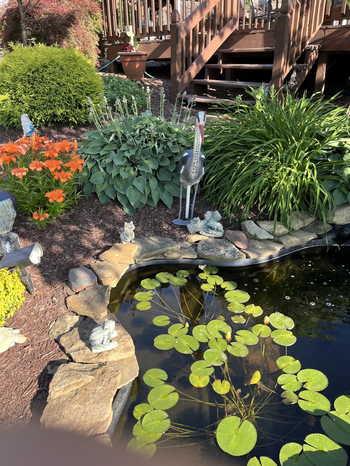 Pond H2o Blue Heron Decoy with Legs & Stake 30'' (76cm) Tall | Adult Blue Heron Statue, For Backyard Koi Fish Ponds, Yards & Water Gardens customer photo 2