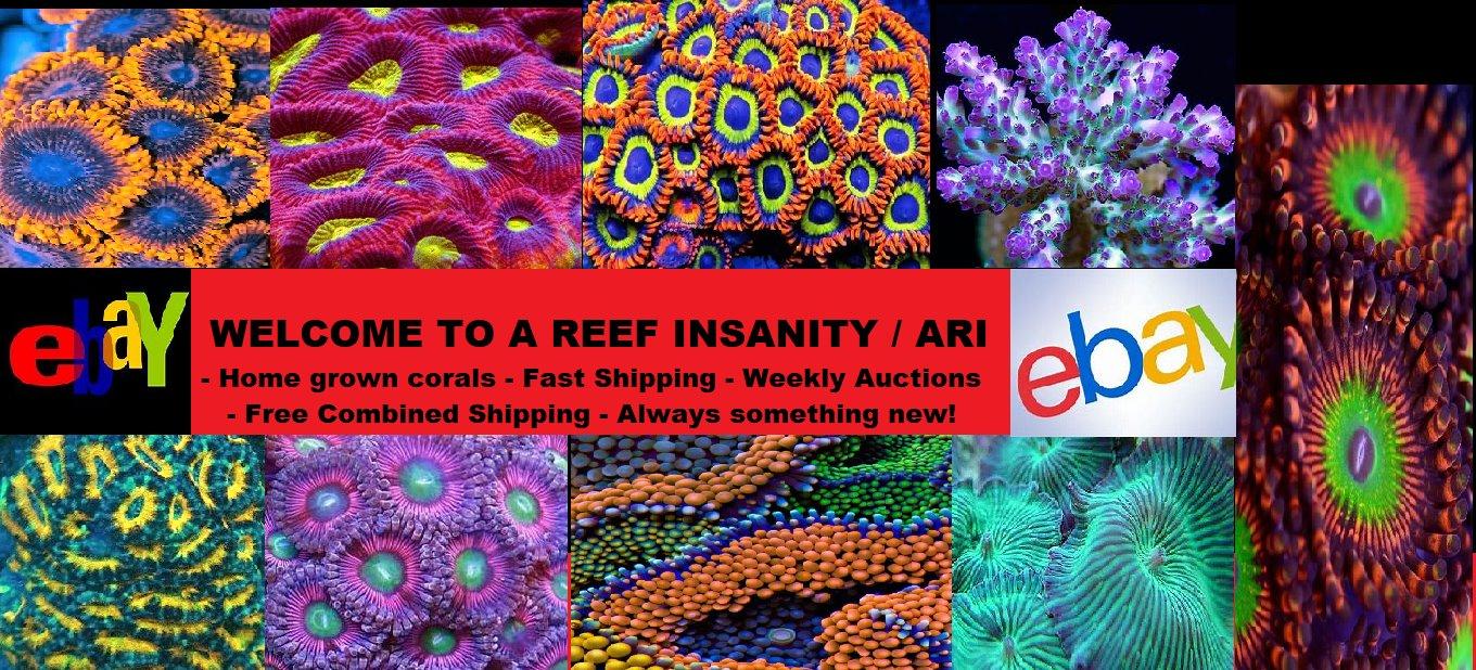 Master Reef Testing Combo Kit - Saltwater Aquariums customer photo 1