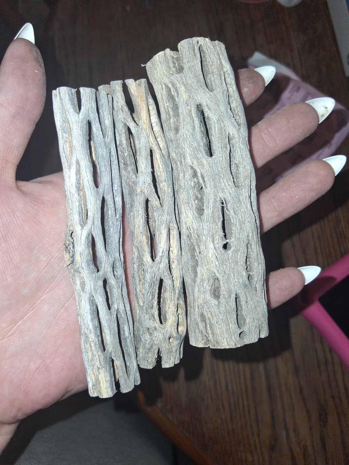 Natural Cholla Wood for Aquarium Decoration Shrimp and Fish Tank (4 Inch (3 Pack)) customer photo 2